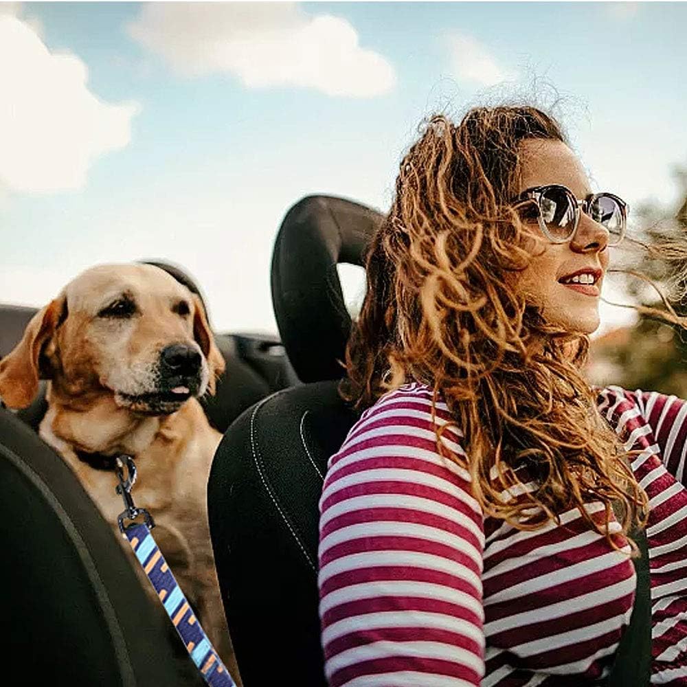 Puppy Car Seat Belt