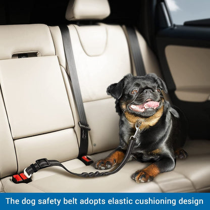 Puppy Car Seat Belt