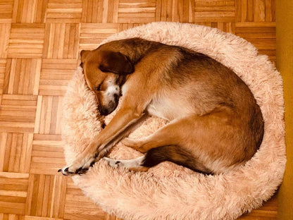 Haavicoo™ Calming Pet Bed