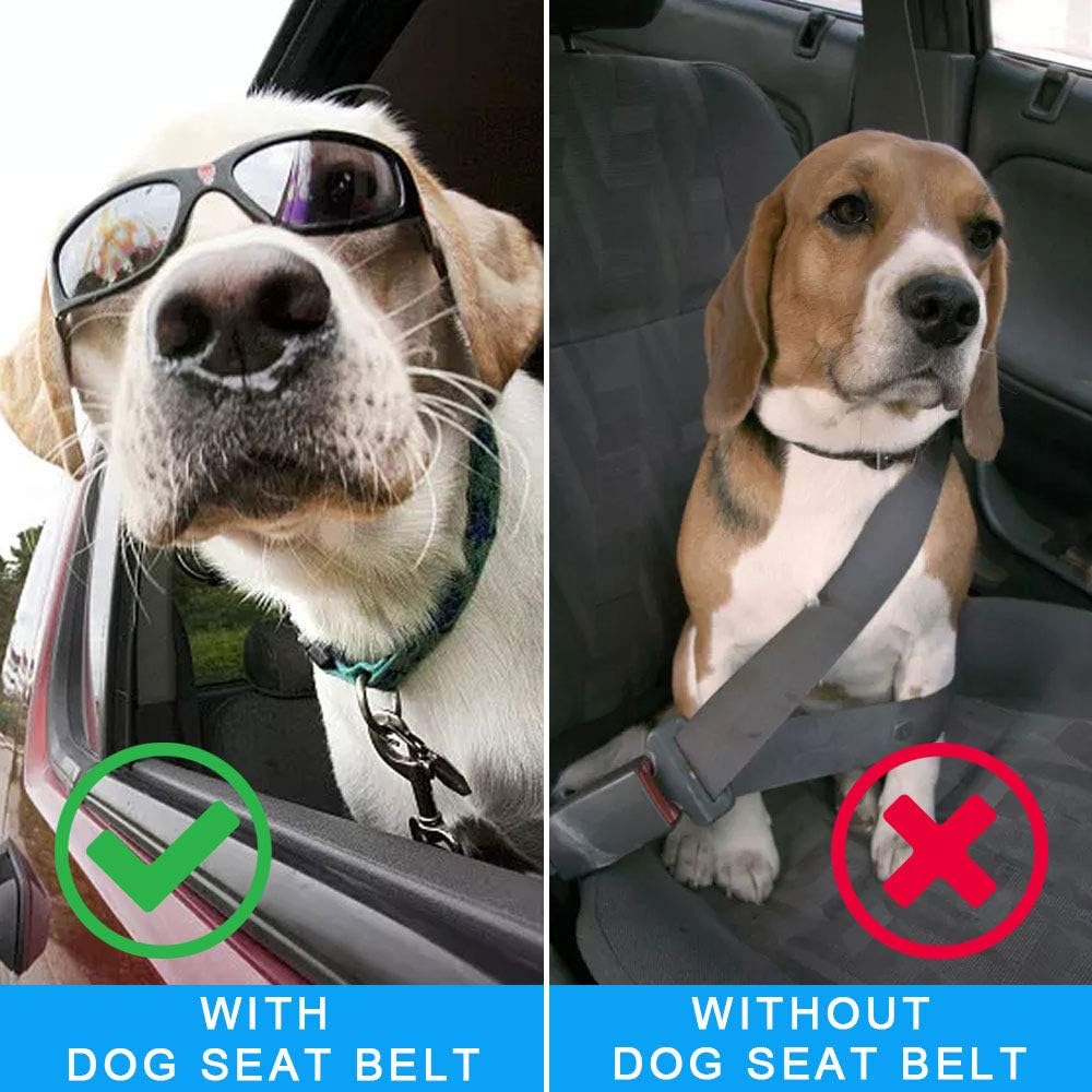 Puppy Car Seat Belt