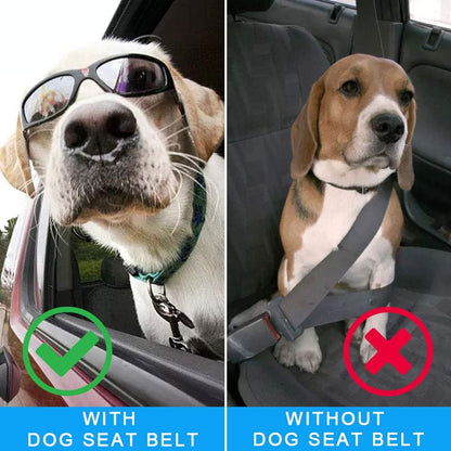 Puppy Car Seat Belt