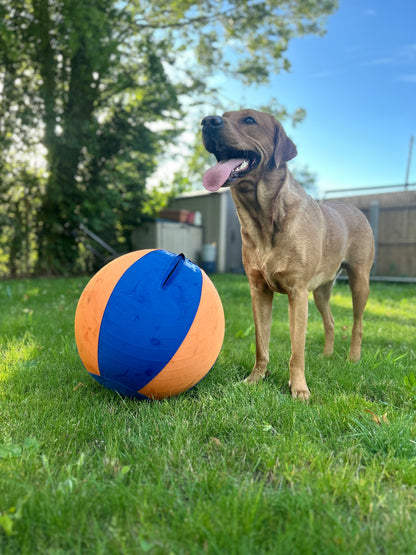 Haavico™PawBall