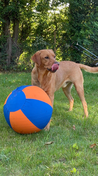 Haavico™PawBall