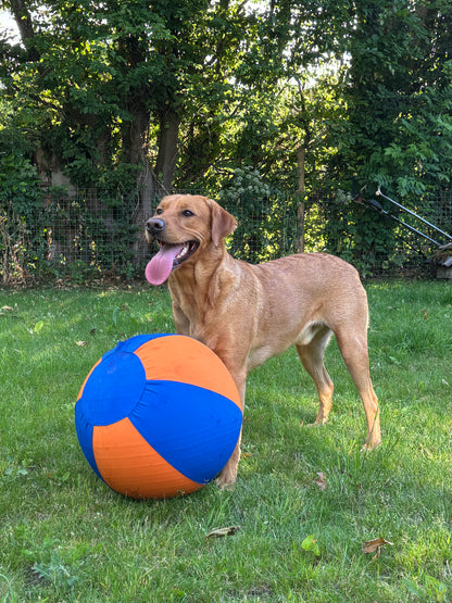 Haavico™PawBall